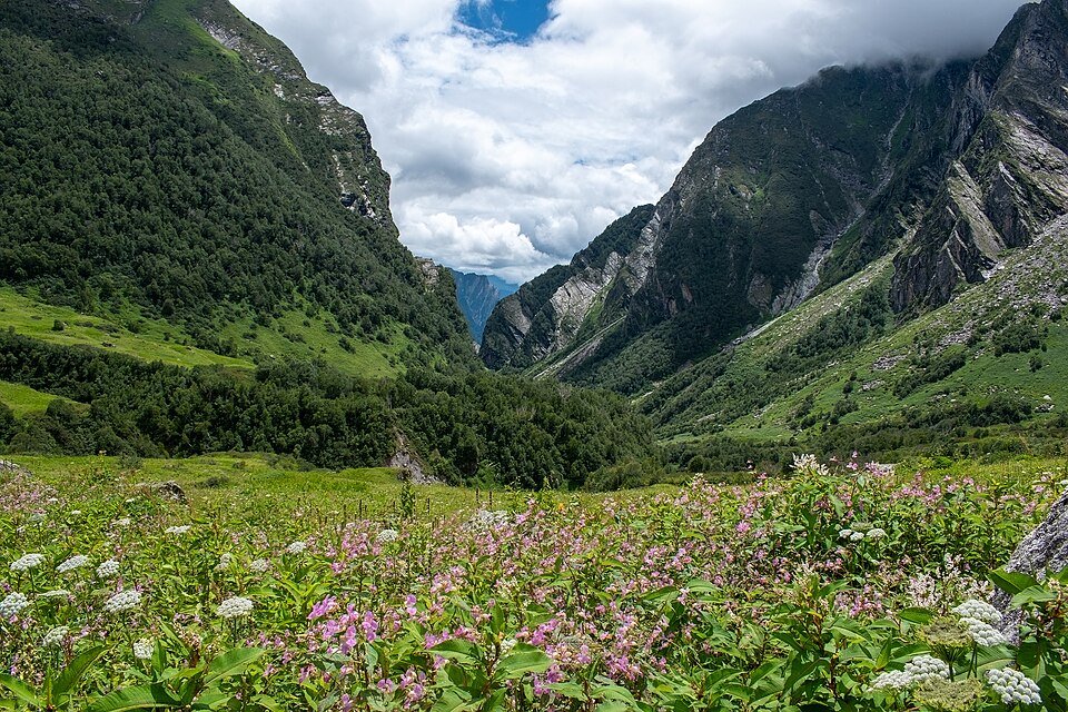 Valley of Flowers National Park in Uttarakhand, India